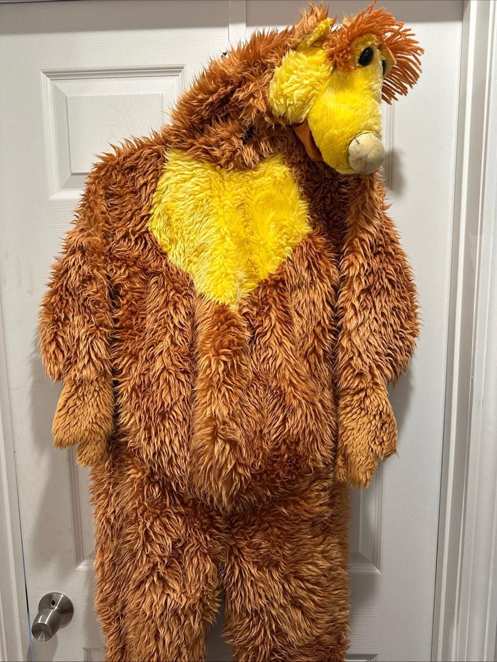 Vintage Bear in the Bug Blue House Costume